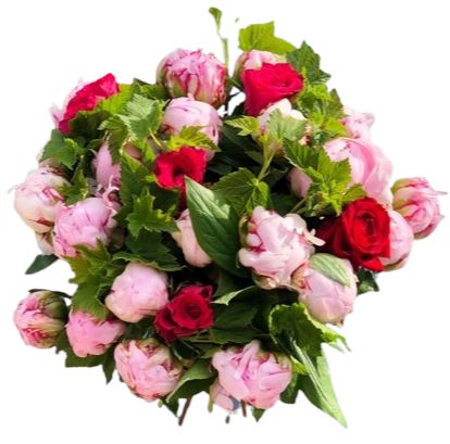 Bouquet Of Pink Peonies and Cerise Roses