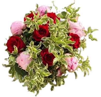 Bouquet of Pink Peonies and Red Roses