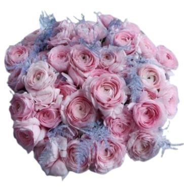 Bouquet of Pink Ranunculus with Blue Accent | Buy Now – Flowers Box London