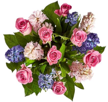 Bouquet of Pink Roses and Hyacinth