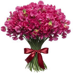 Bouquet of Pink Sweet Pea - Flowers Box London