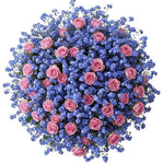 Bouquet of Pretty Spray Roses with Blue Forget Me Not