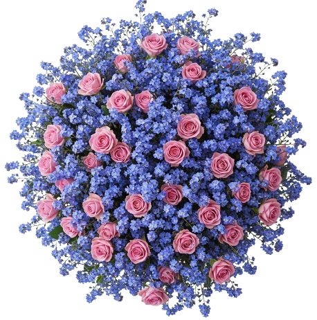 Bouquet of Pretty Spray Roses with Blue Forget Me Not