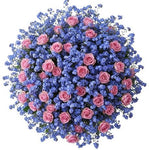Bouquet of Pretty Spray Roses with Blue Forget Me Not - Flowers Box London