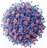 Bouquet of Pretty Spray Roses with Blue Forget Me Not - Flowers Box London