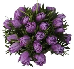 Bouquet of Purple Double Tulips with Greenery - Flowers Box London