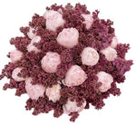 Bouquet of Purple Lilac with Peonies