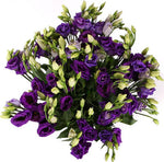 Bouquet of Purple Lisianthus
