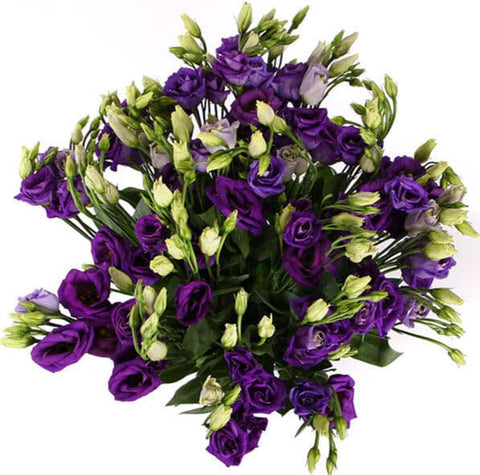 Bouquet of Purple Lisianthus - Flowers Box London