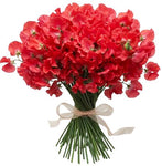 Bouquet of Red Sweet Pea