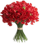 Bouquet of Red Sweet Pea