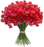 Bouquet of Red Sweet Pea - Flowers Box London