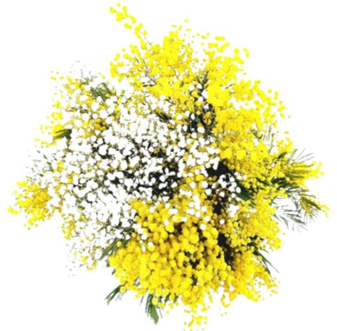 Bouquet of Scented Mimosa and Gypsophila - Flowers Box London