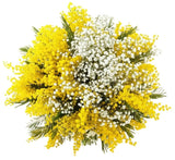 Bouquet of Scented Mimosa and Gypsophila - Flowers Box London