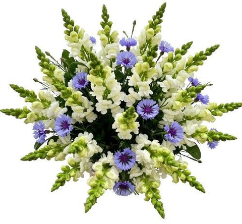 Bouquet of Snapdragons and Cornflowers - Flowers Box London