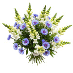 Bouquet of Snapdragons and Cornflowers