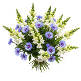 Bouquet of Snapdragons and Cornflowers