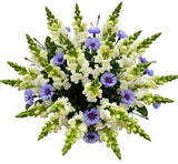 Bouquet of Snapdragons and Cornflowers