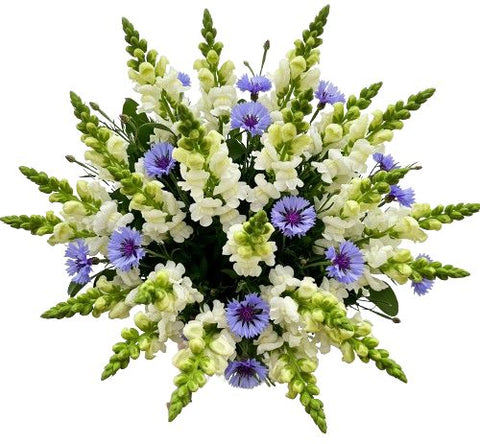 Bouquet of Snapdragons and Cornflowers