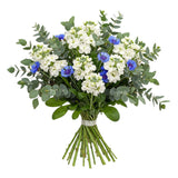 Bouquet of Stock with Blue Cornflowers and Greeneery