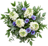 Bouquet of Stock with Blue Cornflowers and Greeneery