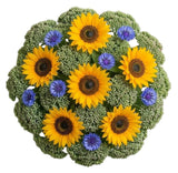 Bouquet of Sunflowers and Cornflowers with Sedum - Flowers Box London