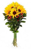 Bouquet of Sunflowers with Red Hypericum - Flowers Box London