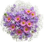 Bouquet of Sweet Pas and Pink Cosmos with Gypsophila