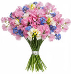 Bouquet of Sweet Pea and Freesias with Blue Forget Me Not