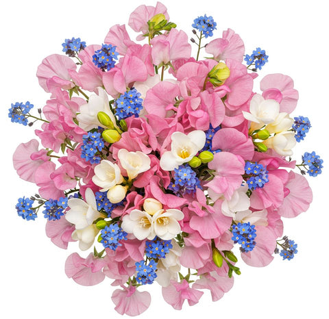 Bouquet of Sweet Pea and Freesias with Blue Forget Me Not
