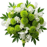 Bouquet of Sweet Pea and Green Santini Chrysanthemum - Flowers Box London