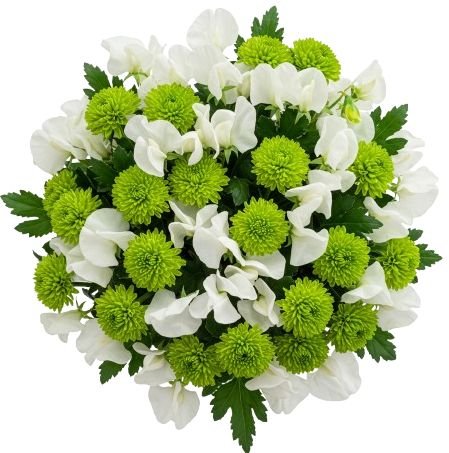 Bouquet of Sweet Pea and Green Santini Chrysanthemum - Flowers Box London