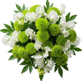 Bouquet of Sweet Pea and Green Santini Chrysanthemum