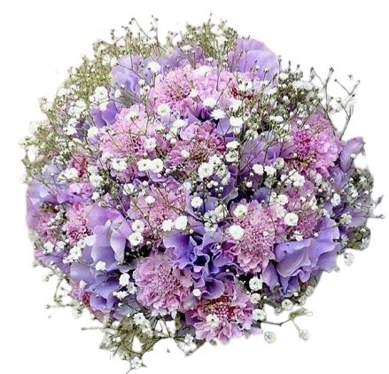 Bouquet of Sweet Pea and Pink Scobiosa in Gypsophila