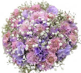 Bouquet of Sweet Pea and Pink Scobiosa in Gypsophila - Flowers Box London