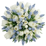 Bouquet of Tulips and Freesias with Blue Muscari - Flowers Box London