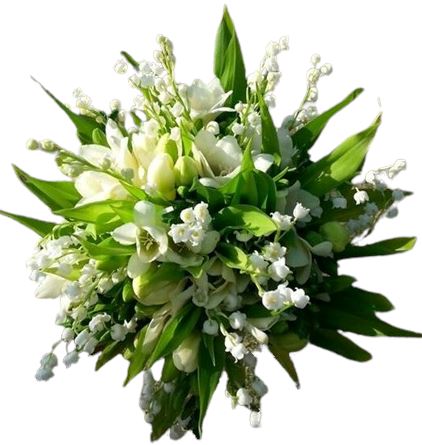 Bouquet of Tulips and Freesias with Lily of Valley