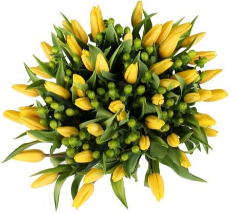 Bouquet of Tulips with Green Hypericum - Flowers Box London