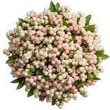 Bouquet of White and Pink Blush Snowberries