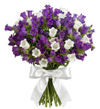 Bouquet of White and Purple Campanula - Flowers Box London