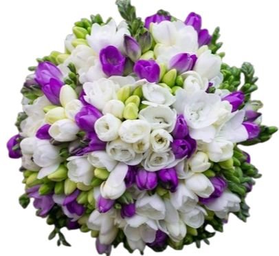 Bouquet of White and Purple Freesias - Flowers Box London