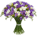 Bouquet of White and Purple Freesias - Flowers Box London