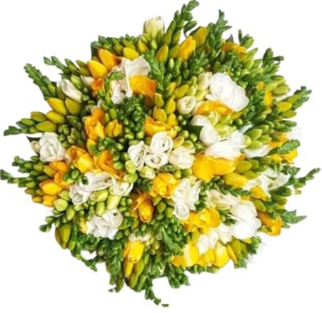 Bouquet of White and Yellow Freesias - Flowers Box London