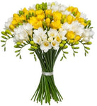 Bouquet of White and Yellow Freesias - Flowers Box London