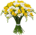 Bouquet of White and Yellow Freesias - Flowers Box London