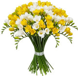Bouquet of White and Yellow Freesias - Flowers Box London