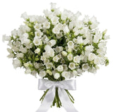 Bouquet of White Campanula - Flowers Box London