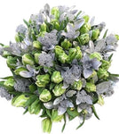 Bouquet of White Double Tulips and Silver Skimmia - Flowers Box London