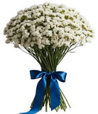 Bouquet of White Limonium - Flowers Box London