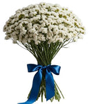 Bouquet of White Limonium